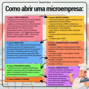 MicroEmpresa